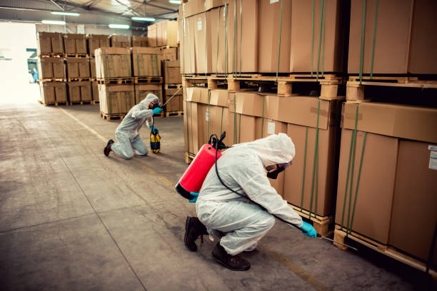 Flea Control Services in Canton, IL