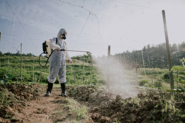 Best Best Pest Control Companies  in Canton, IL