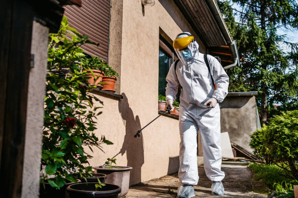Best Rat Extermination Near Me  in Canton, IL