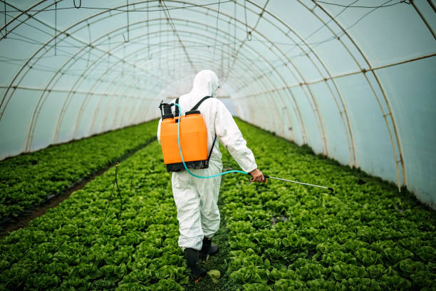 Best Residential Pest Control  in Canton, IL