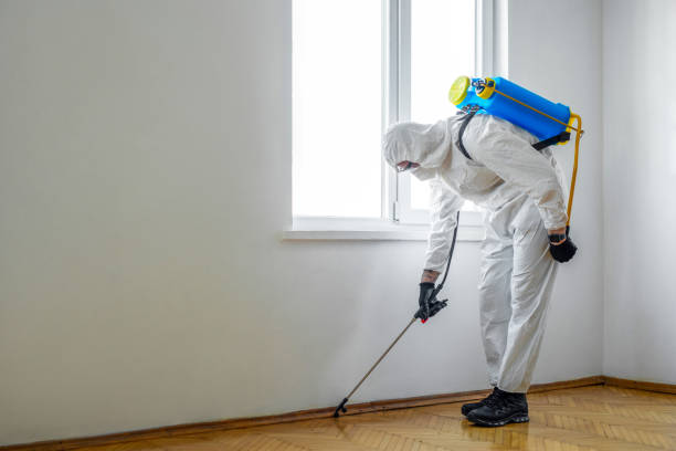Best Commercial Pest Control Services  in Canton, IL