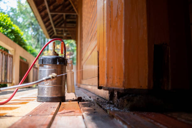 Best Best Pest Control Companies  in Canton, IL