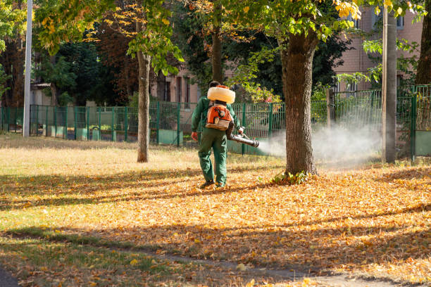Best Affordable Pest Control Services  in Canton, IL