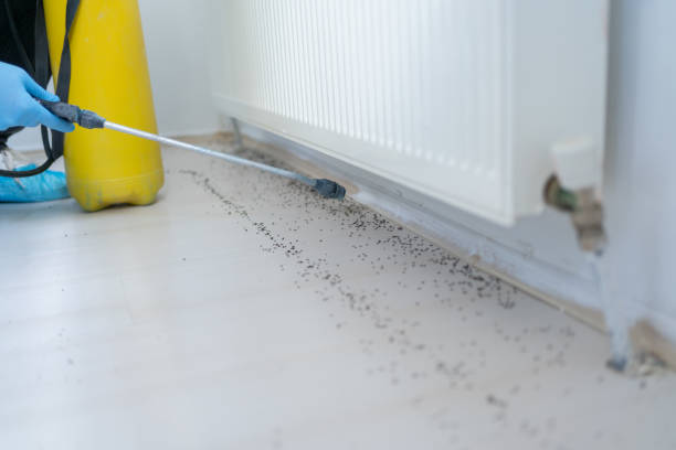 Best Commercial Pest Control Services  in Canton, IL