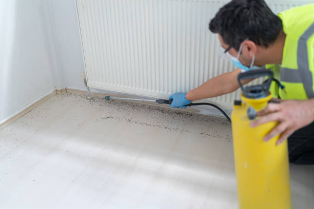 Best Flea Control Services  in Canton, IL