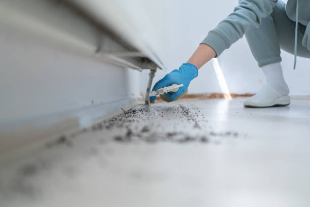 Best Mosquito Control Services  in Canton, IL