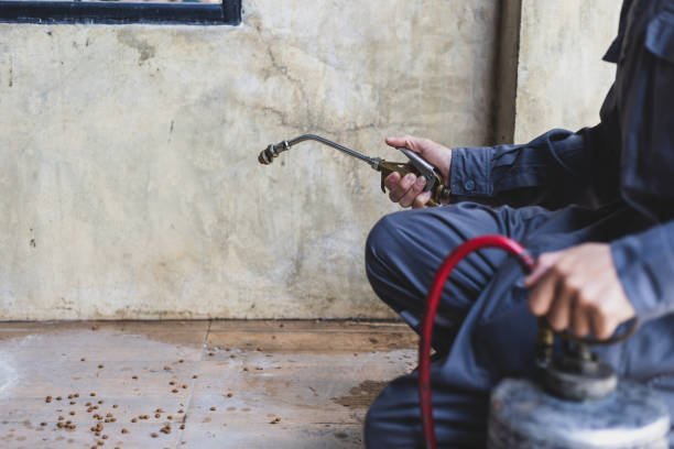Best Pest Inspection Near Me  in Canton, IL